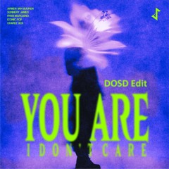 You Are, Dont Care (DOSD Edit)