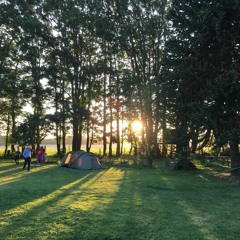 I Like Your Style (2019)