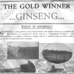 Pennsylvania Merchants and American Ginseng in China, 1784-1840 with Audrey Ke Zhao