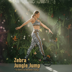Zebra Junge Jump | Alexandra Jumps Afro Vibes Mix (138 BPM | 32-Count)