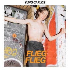 FLIEG FLIEG