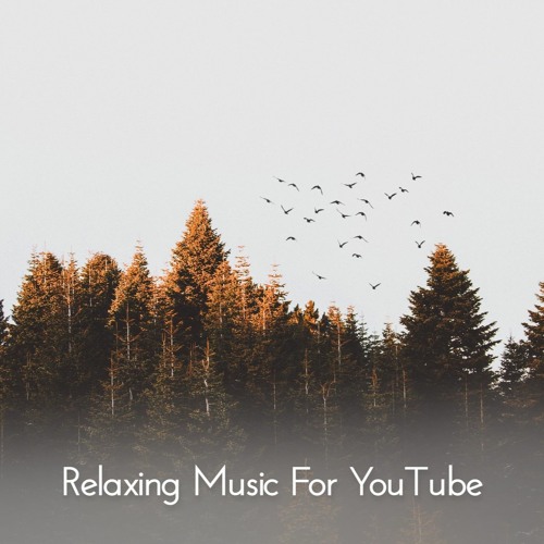 Free Relax Soothing Background Music for YouTube (Free Download) | Music for Videos, Vlog, YouTube