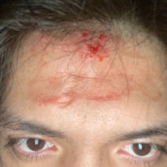 A Leopard Won't Change Its Stripes and I Won't Either cause I Earned Mine prod. Xanderr89