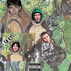 ape *+ luna + iliha + donkara*