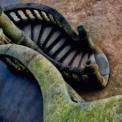 Mr Woodwind - Belfast Drill 2