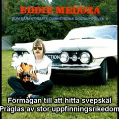 Eddie Meduza - Undanflykter (Hasse Remix)