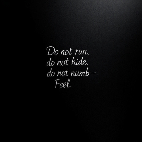 Do not run. do not hide. do not numb - Feel