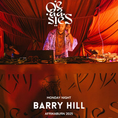 Barry Hill - OE-AA-SIES - Monday Night @ Afrikaburn 2025