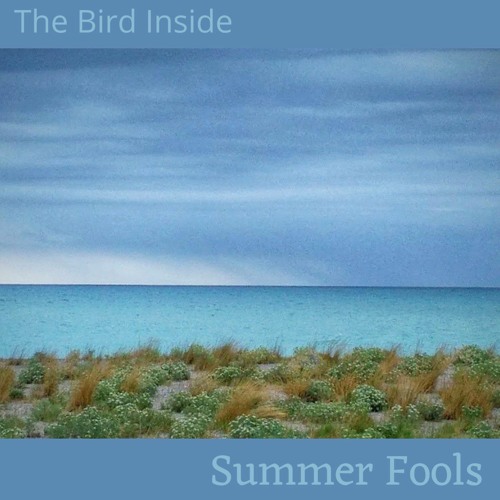Summer Fools