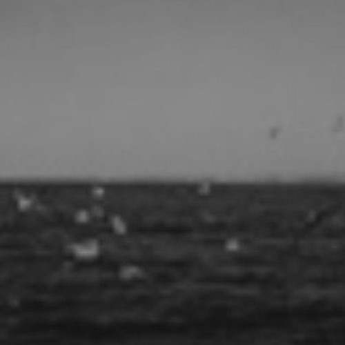 Cemeteries - Cicada Howl