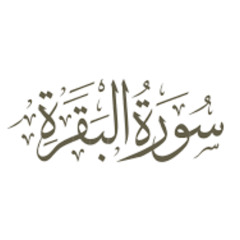 سورة البقرة  - إبراهيم عبدالمنعم
