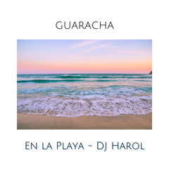 En la Playa Guaracha - DJ Harol