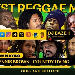 DJ Bazeh Best Reggae Mixtape To Chill And Meditate  Vol 2