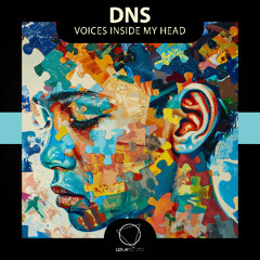 Dj DNS - Voices Inside My Head (Lizplay Records)