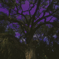 wdr.m4a / deadly doll