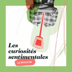 Curiosité num 34 : La Mouche