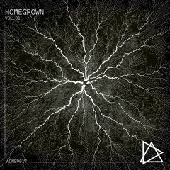 Krypsis - Temple Run (Homegrown EP Vol.01) [After Dark Music]
