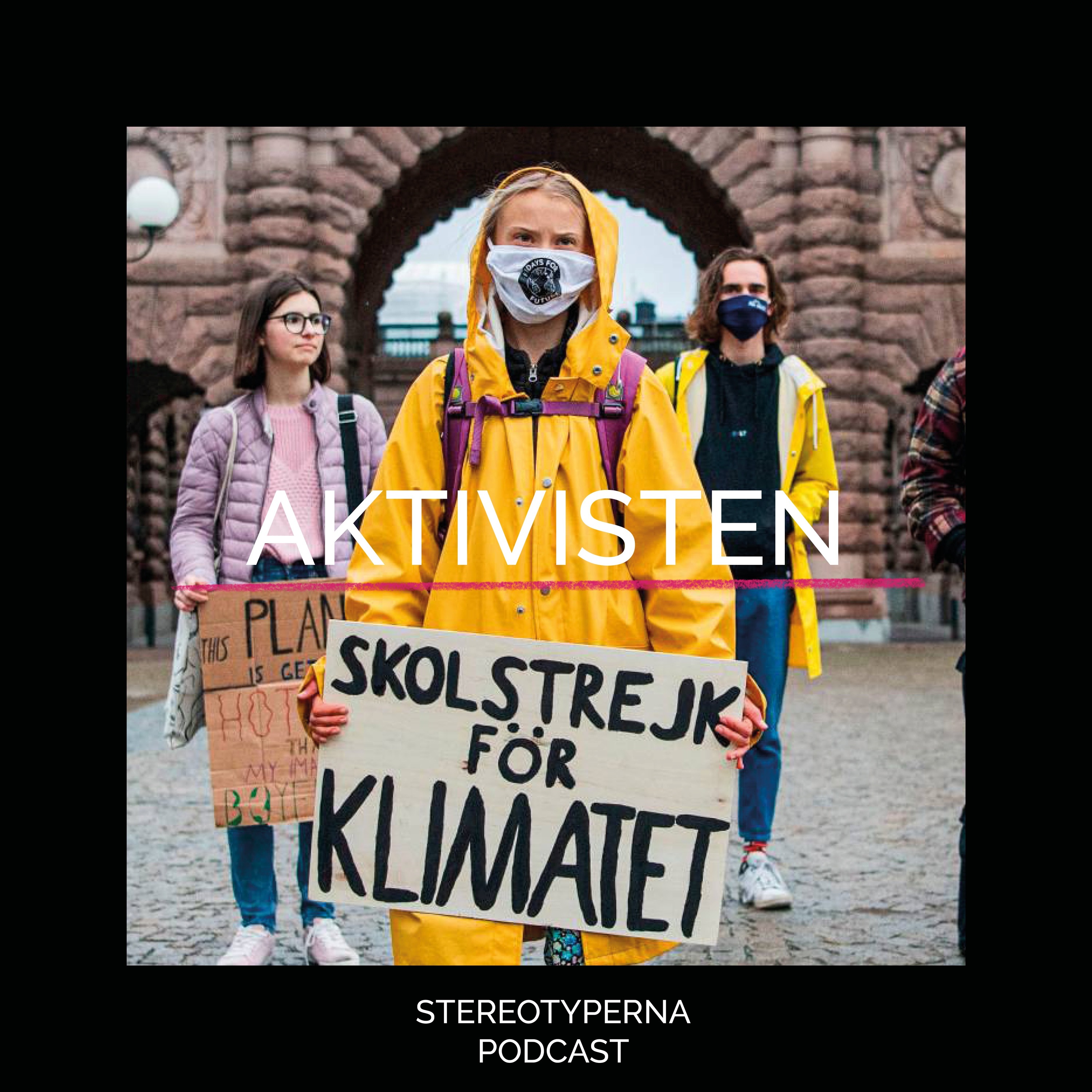 Stereotyperna