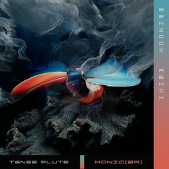 Tense Flute (Benicci Remix)