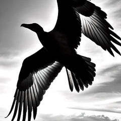 Flight Of The Light (Radio Version)