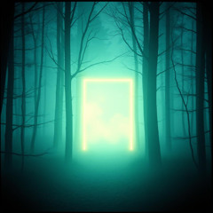 Can you feel my love