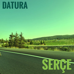 Datura - Serçe