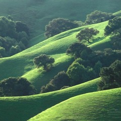 The Grass Is Always Greener Where You Water It