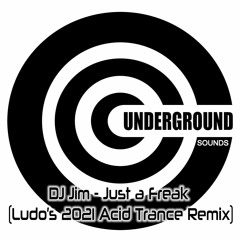 DJ Jim - Just A Freak (Ludo's 2021 Acid Trance Remix)[preview]
