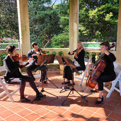 Material Girl (Madonna) - string cover