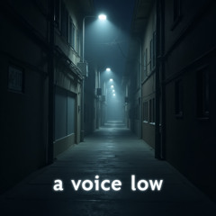 a voice low