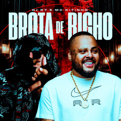 Brota De Bicho (feat. MC Kitinho)