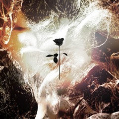 CORA - Kingdom Of Dreams