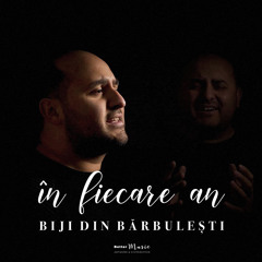 In Fiecare An
