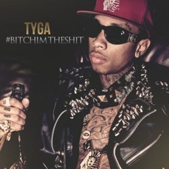 Tyga (feat. 2 Chainz & Gudda Gudda) - Bad Bitches (Remix)