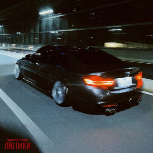 просто Лера - Лютики (BRAZILIAN PHONK Remix)