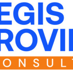 How NDIS Consulting Services Help Providers Achieve Compliance