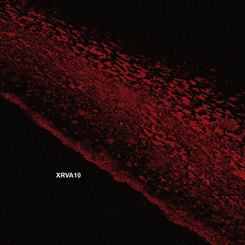 Premiere: Franco Rossi - Tsundoku [XRVA10]