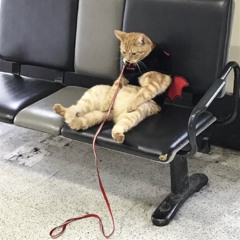 galaxy impact (writers block curation) SPOILERS 1080+