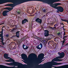 Mo:Dem 2026 Application