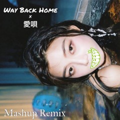 Way Back Home×愛唄 MashupRemix