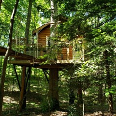 Birdhouse Virtual C