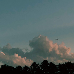 I Should Probably Go (prod. by O’HARA)