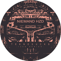 Thinking (Teknosucks 100% Niemand)