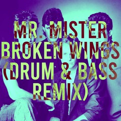 Mr. Mister - Broken Wings (Drum & Bass Remix)