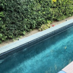 Sav & Noah's Dance Mix