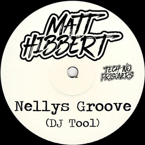 Nellys Groove (DJ Tool) (Filtered for SC, full vocal in DL)