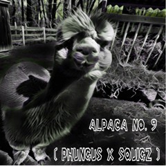 Phungus & Squigz - Alpaca No. 9 (FREE DOWNLOAD)