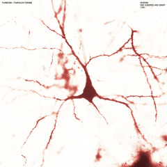 Голоса в голове (Continuous Mix)