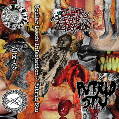OCULAR LEECH INFESTATION/PUTRID STU-FULL SPLIT (2019)