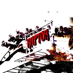 Fabio Zammarchi - RAPTOR